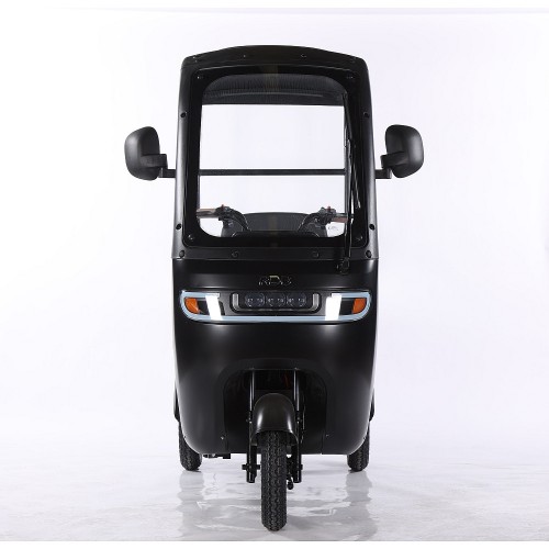 Triciclu Electric RDB Panda 5, 650W, 60V20Ah, Fără permis