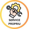 Service propriu